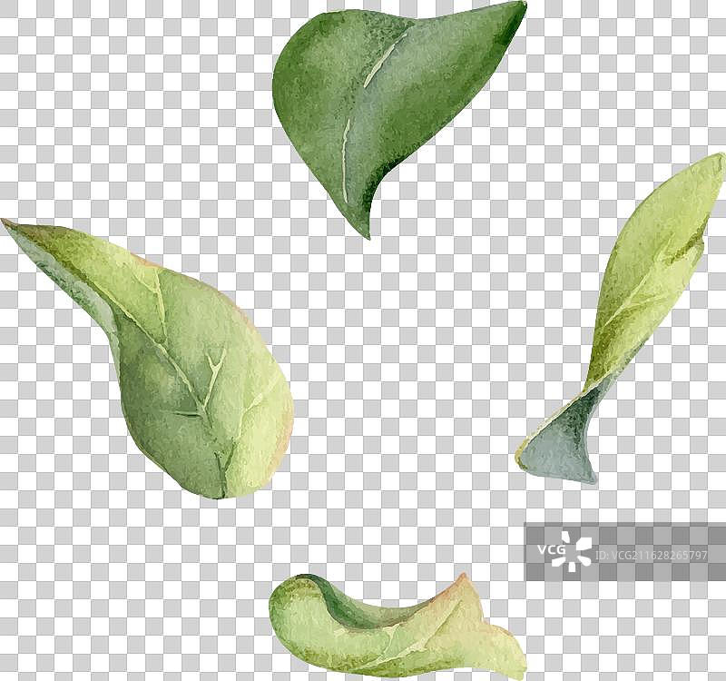 花丛树绿叶植物手绘图片素材