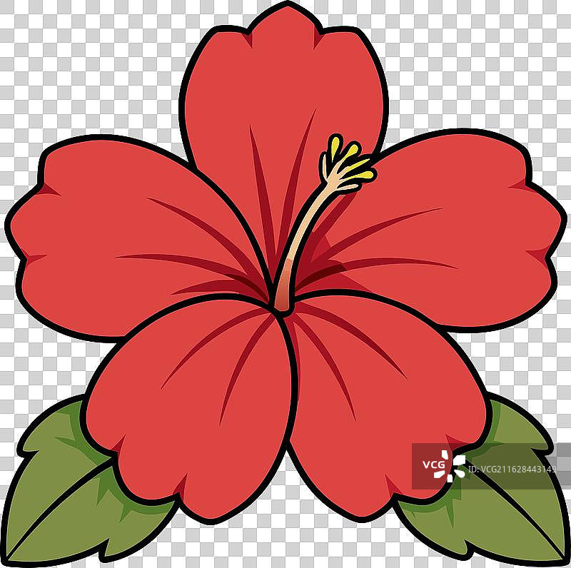 芙蓉花扁平剪贴画，孤立在白色背景上图片素材