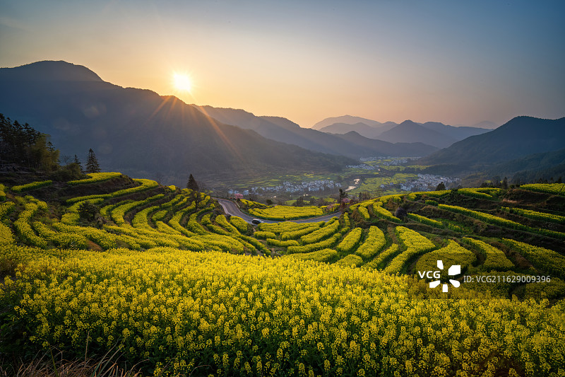 婺源江岭油菜花梯田的日出图片素材