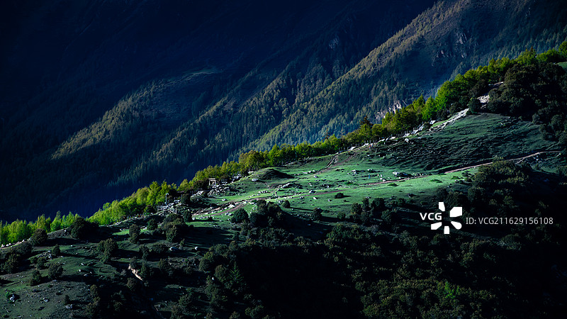 森林中高角度视野下的树木和山脉图片素材