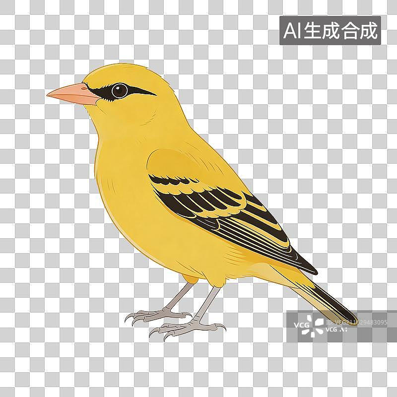 【AI数字艺术】黄鹂鸟插画侧面站立姿态图片素材