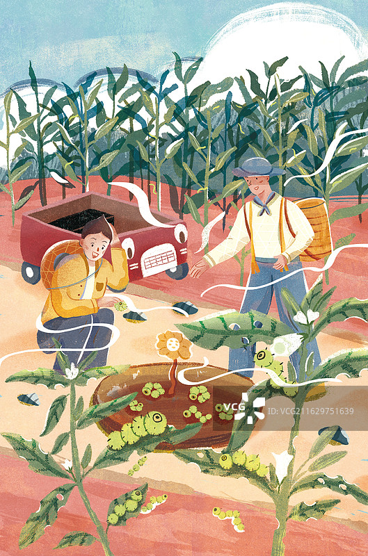 种玉米图片素材