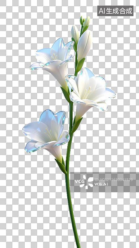 【AI数字艺术】白色剑兰花图片素材