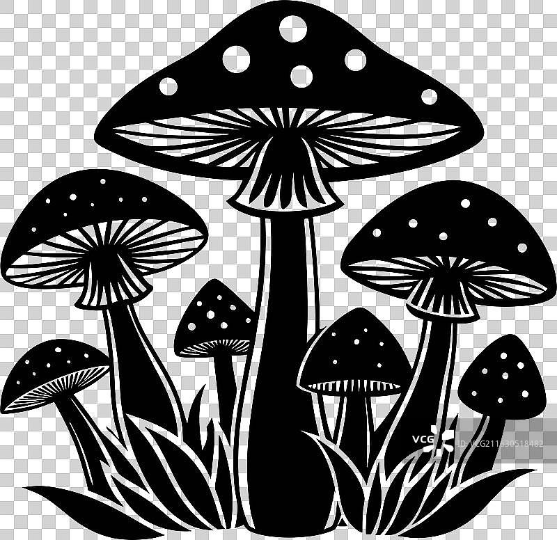 一组带有斑点的黑白蘑菇图片素材