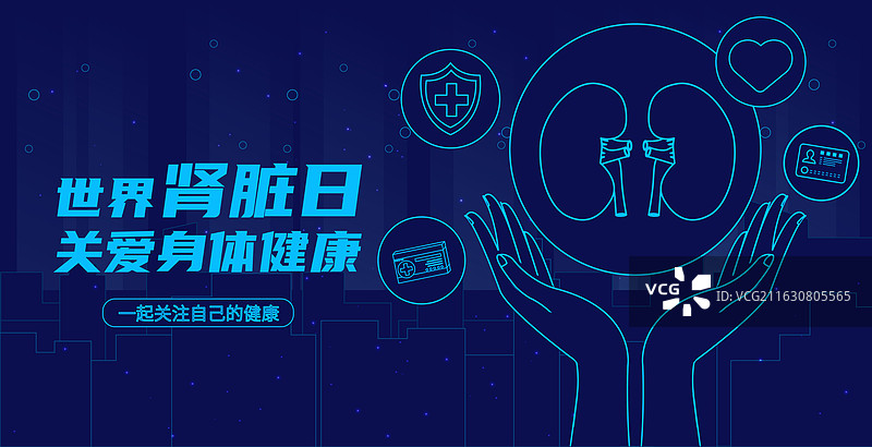 世界肾脏日医疗养肾护肾肾衰竭人体内科结构肾脏图片素材