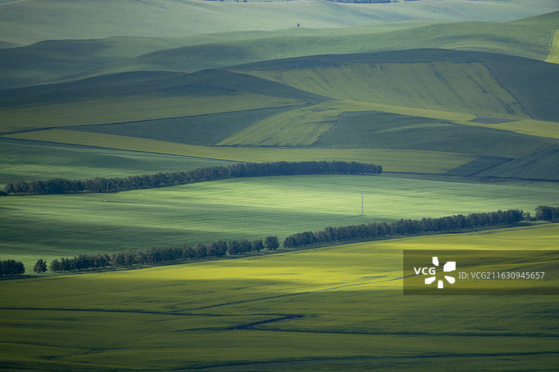 额尔古纳草原（景区拍摄）图片素材