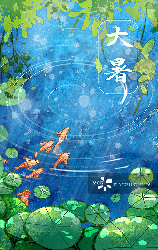 二十四节气大暑池塘荷叶鲤鱼插画图片素材