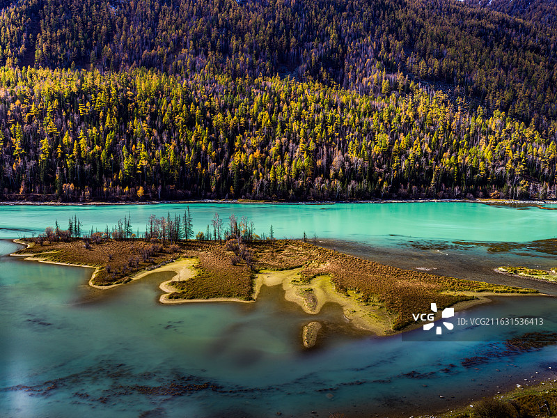 ，哈苏H6D-100C以一亿像素超清画质，定格新疆喀纳斯“秋林碧水湾流”的梦幻生态盛景图片素材