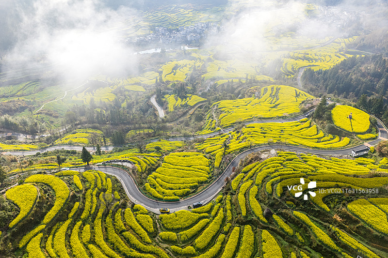 春天里的婺源江岭风景区，江西婺源图片素材