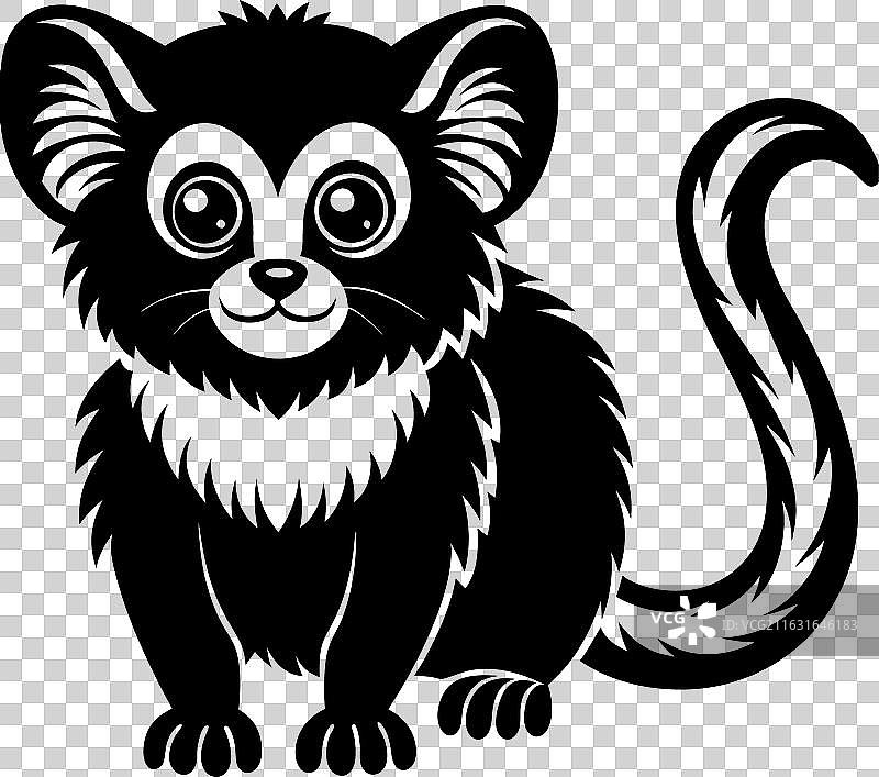 侏儒狨猴，白色背景图片素材