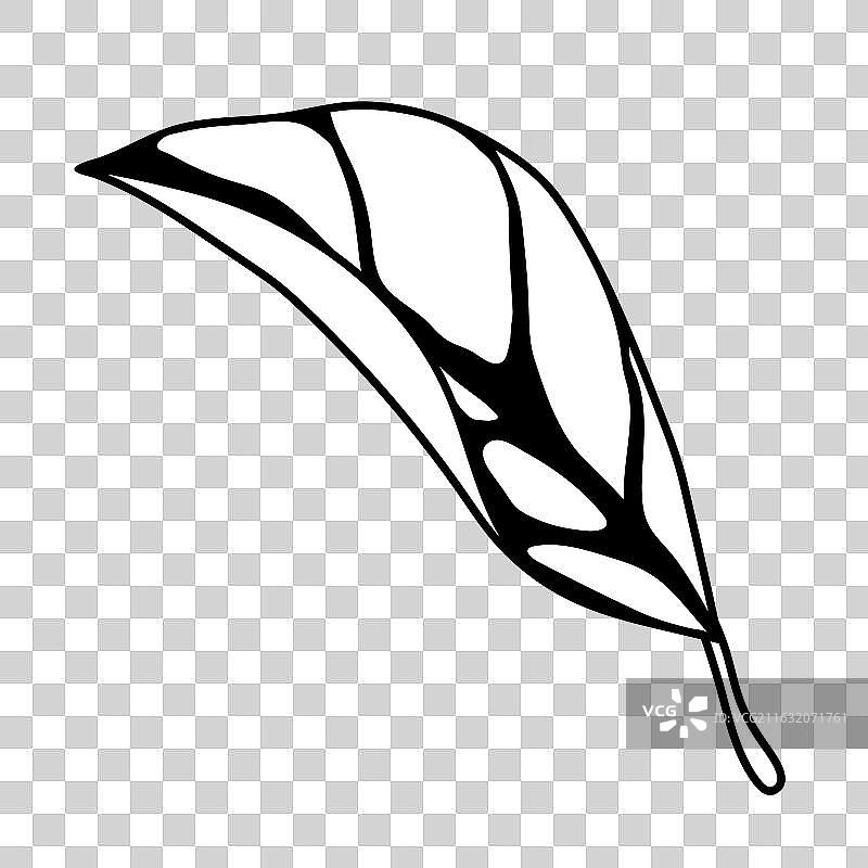 叶片弹簧或夏季风格化图片素材