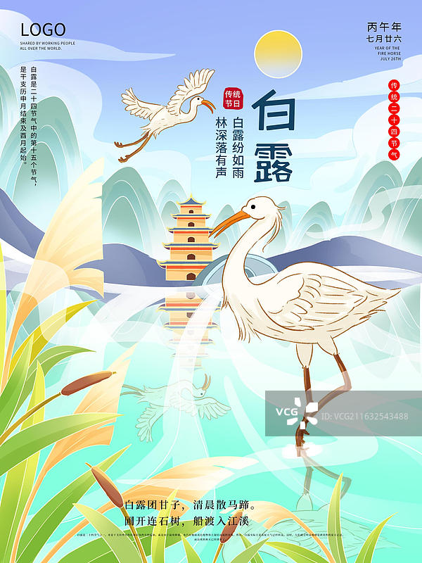 白鹭芦苇白鹭节气插画海报图片素材