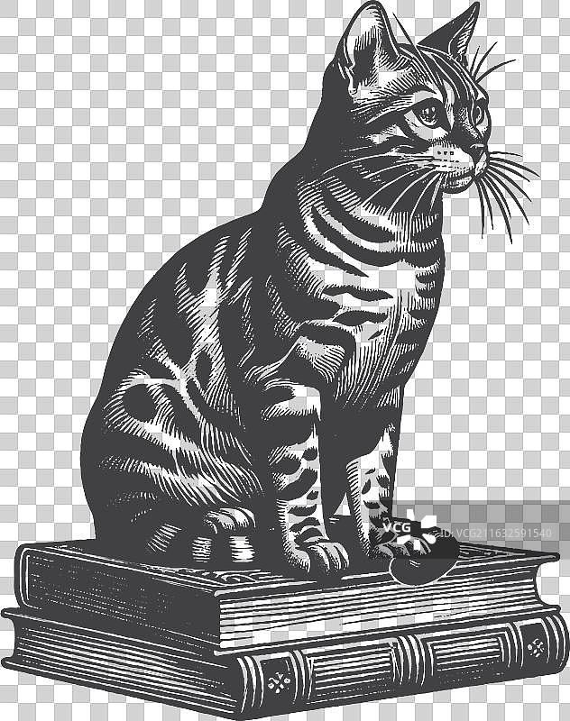 复古手绘孟加拉猫坐在书上图片素材