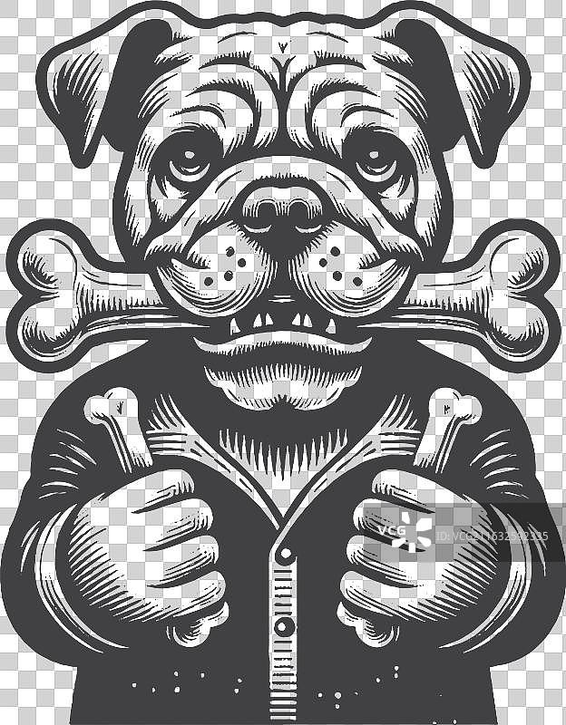 一只手绘复古斗牛犬叼着一根骨头图片素材