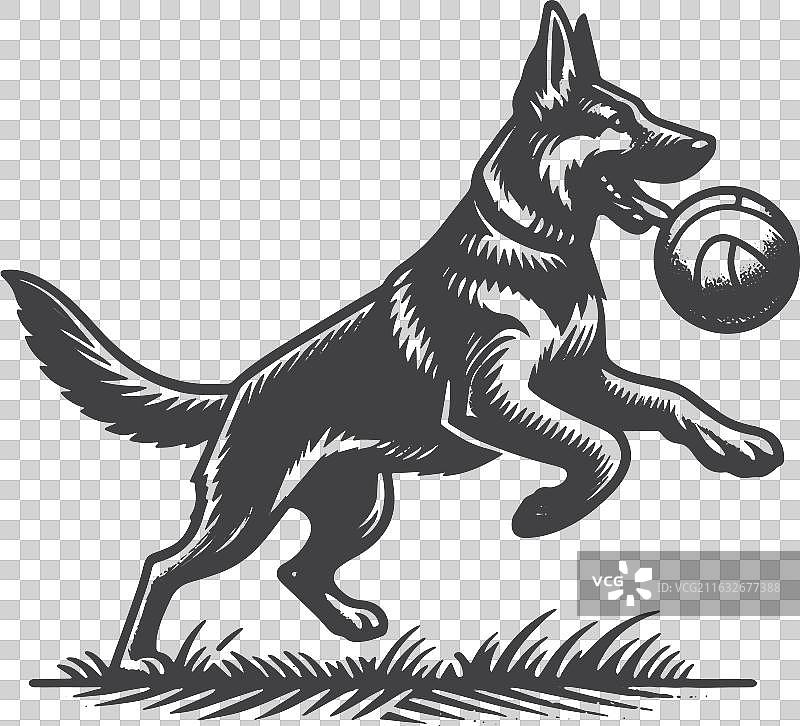 复古手绘德国牧羊犬追逐图片素材