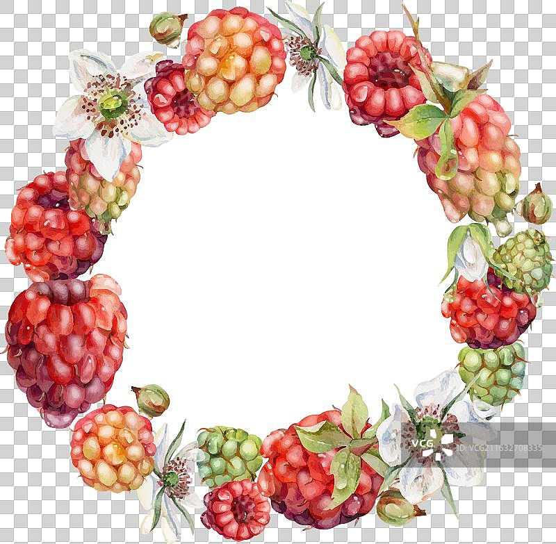 覆盆子花和浆果在露珠中组成花环图片素材