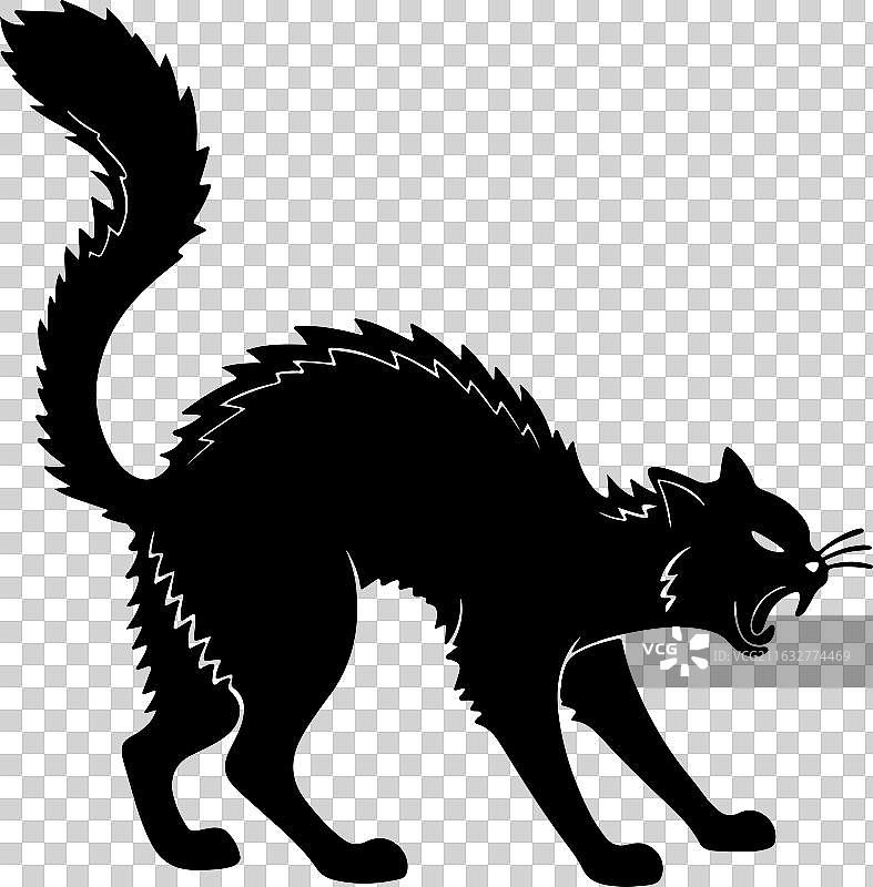 一只愁眉苦脸的猫的剪影，嘴巴向下撇着图片素材