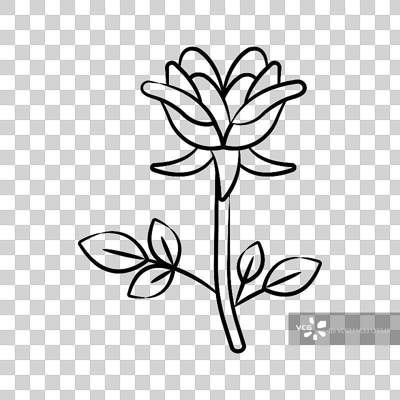 花朵绽放图片素材
