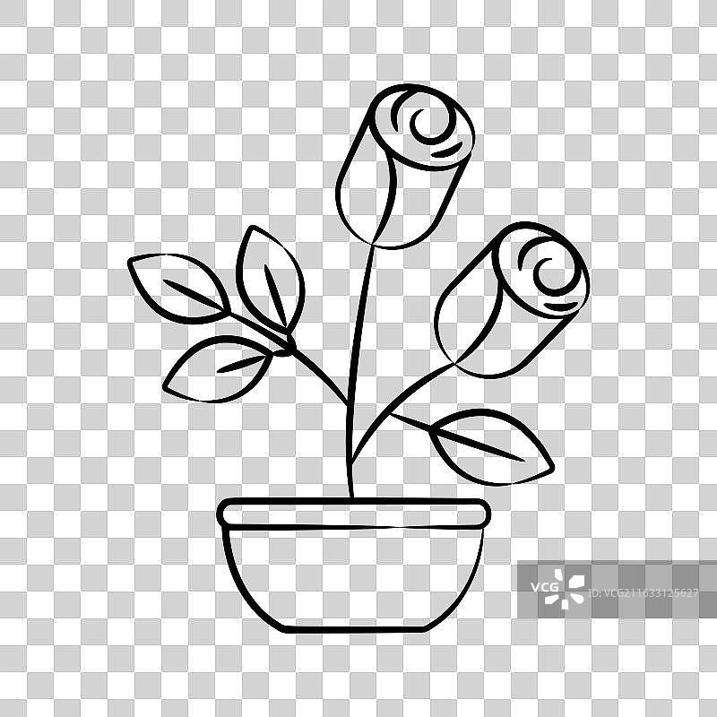 玫瑰植物图片素材