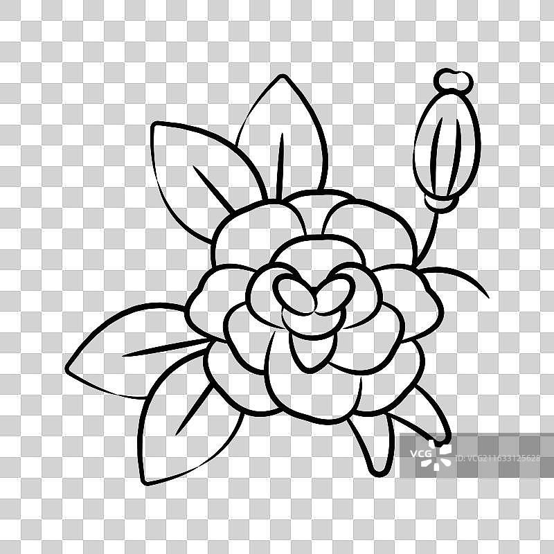 花瓣图片素材