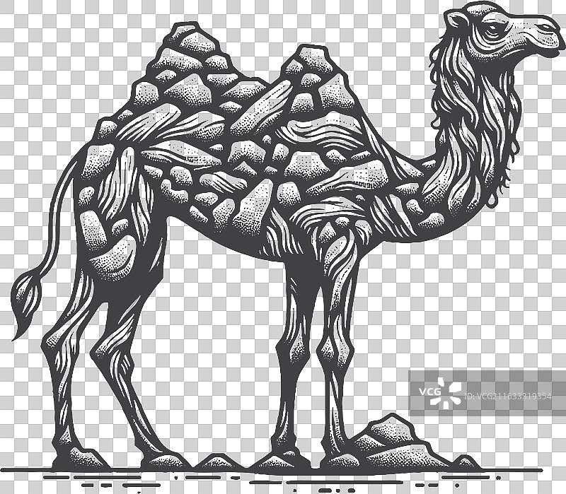 复古手绘的单峰骆驼，超现实的沙景图片素材