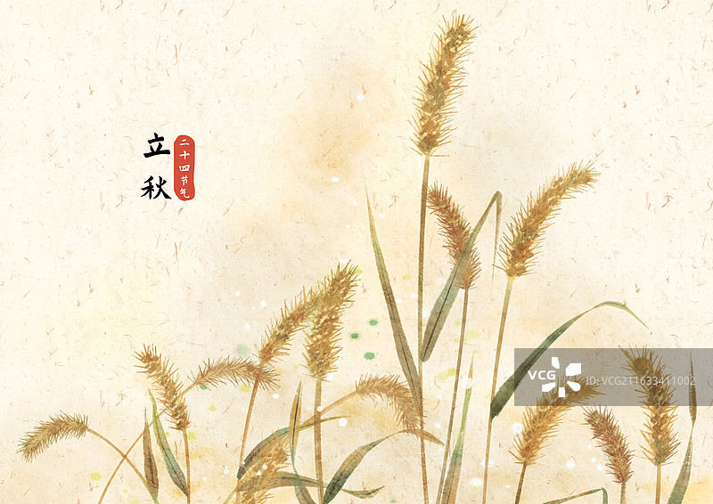 立秋节气狗尾巴草插画图片素材