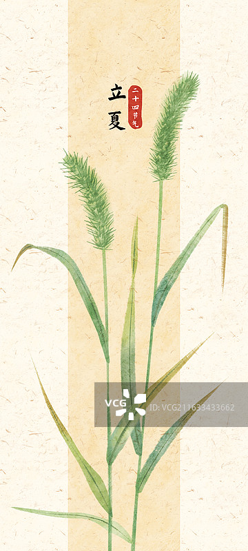 立夏节气狗尾巴草插画图片素材