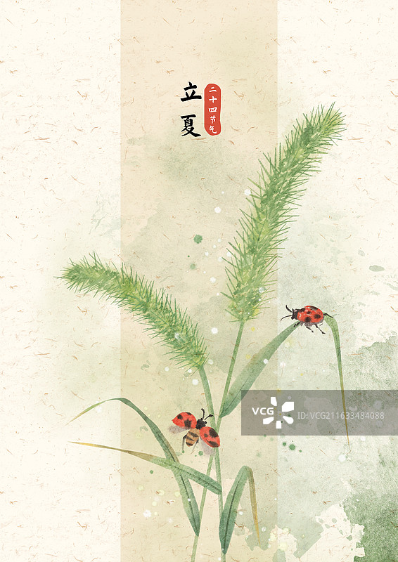 立夏节气狗尾巴草插画图片素材