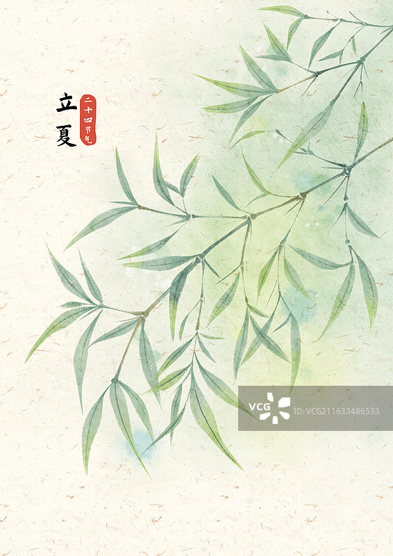 立夏节气竹子竹叶国风插画图片素材