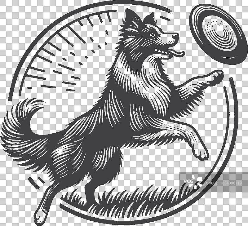 复古手绘边境牧羊犬捕捉图片素材