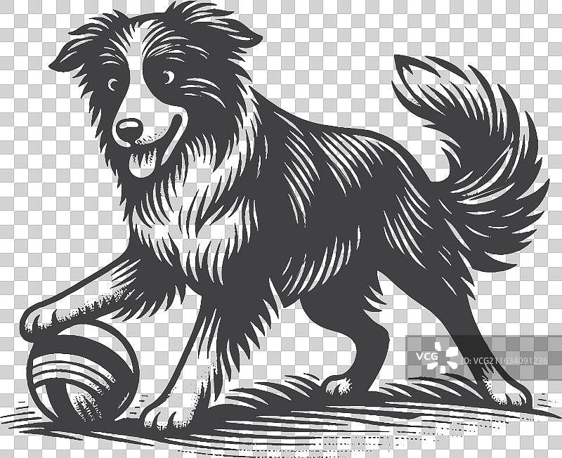 复古手绘边牧犬玩耍图片素材