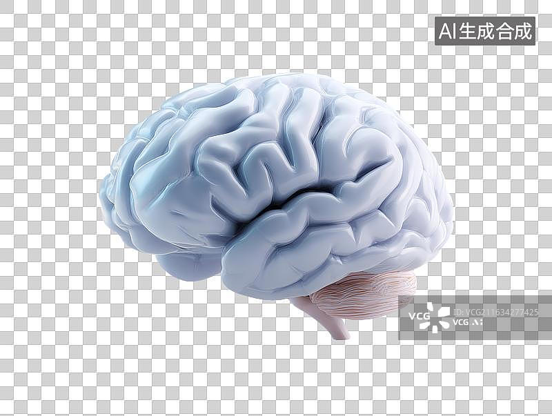【AI数字艺术】大脑模型展示图片素材