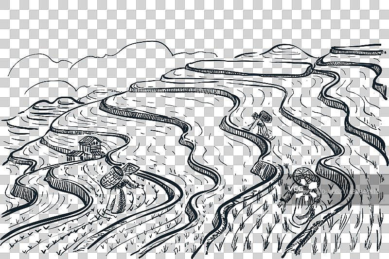 梯田景观素描图片素材