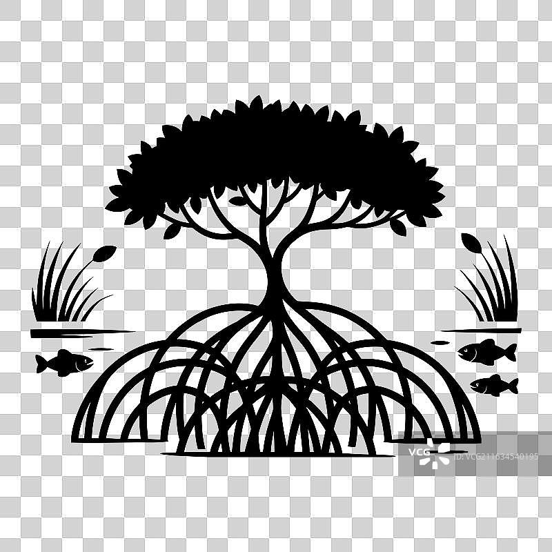 红树林种植剪影图片素材