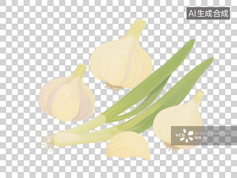 【AI数字艺术】手绘插画，大蒜，大葱，姜，生姜，蔬菜，调味料，免抠元素图片素材