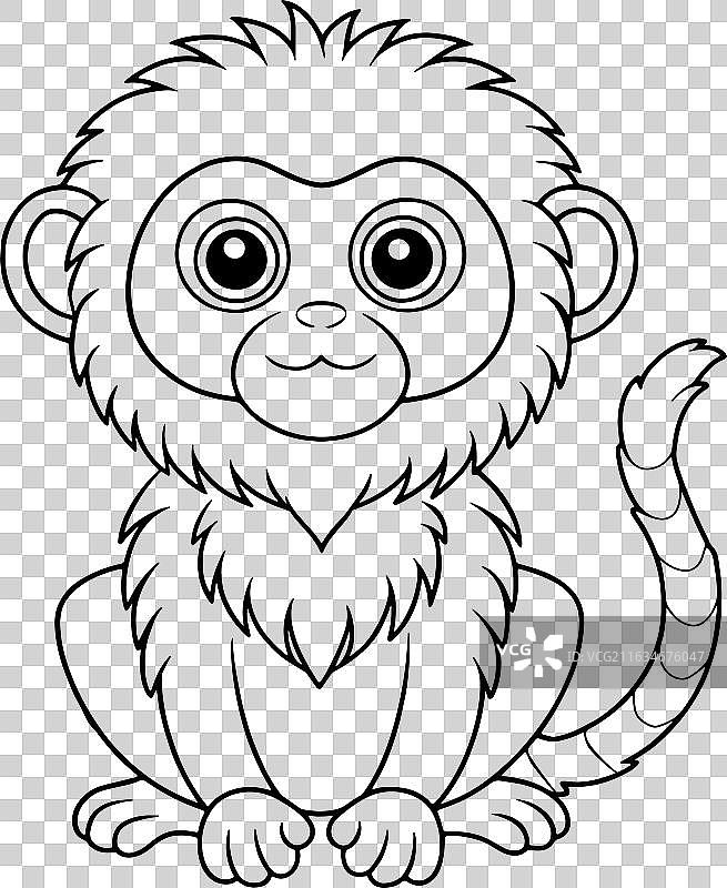 可爱的卡通侏儒狨猴轮廓，用于涂色图片素材