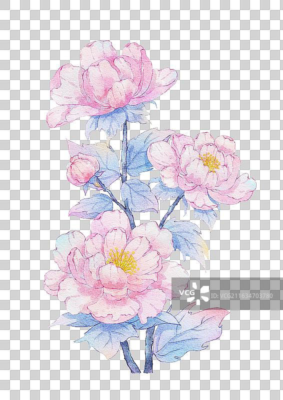 十二花神系列图图片素材