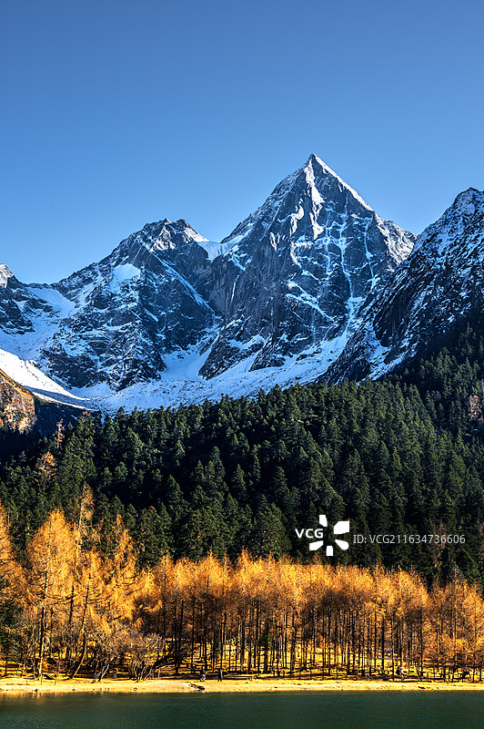 秋天的森林雪山景观图片素材