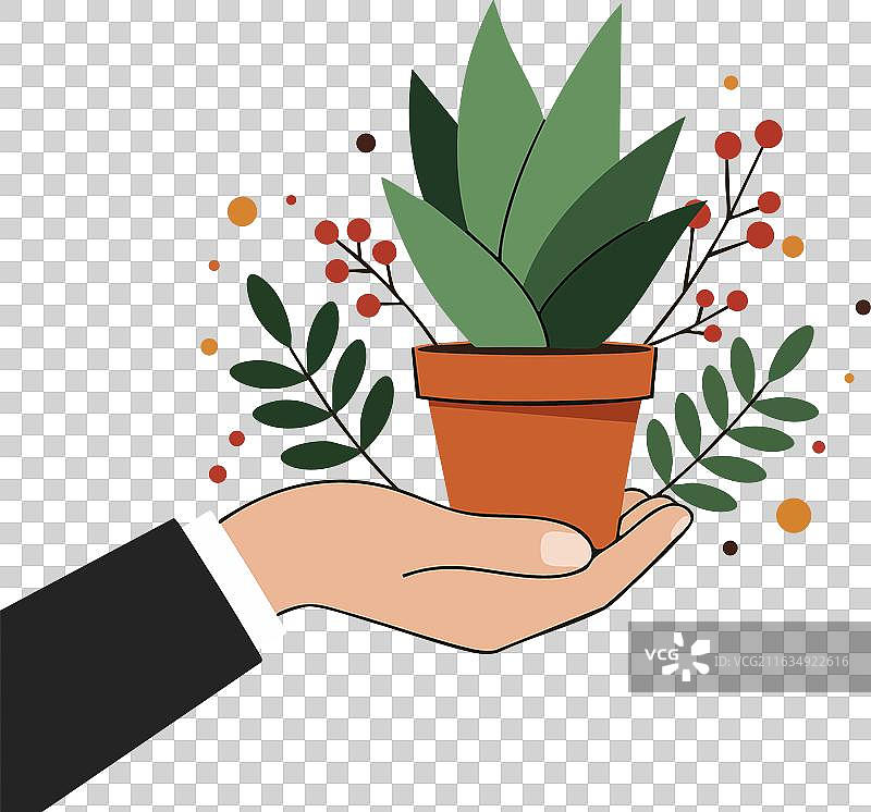 手捧装饰性盆栽绿植图片素材