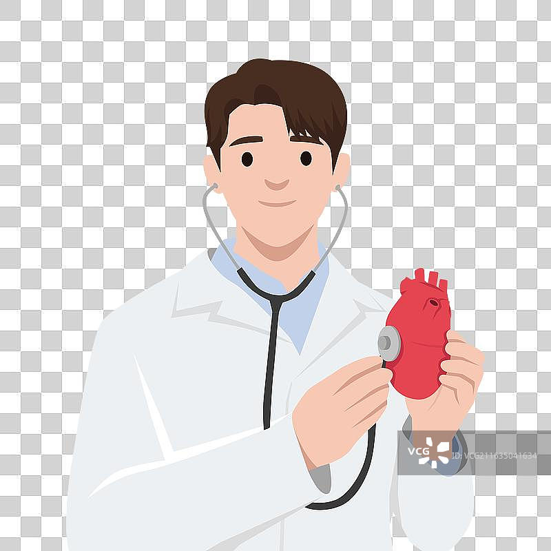 医生用听诊器检查心脏模型图片素材