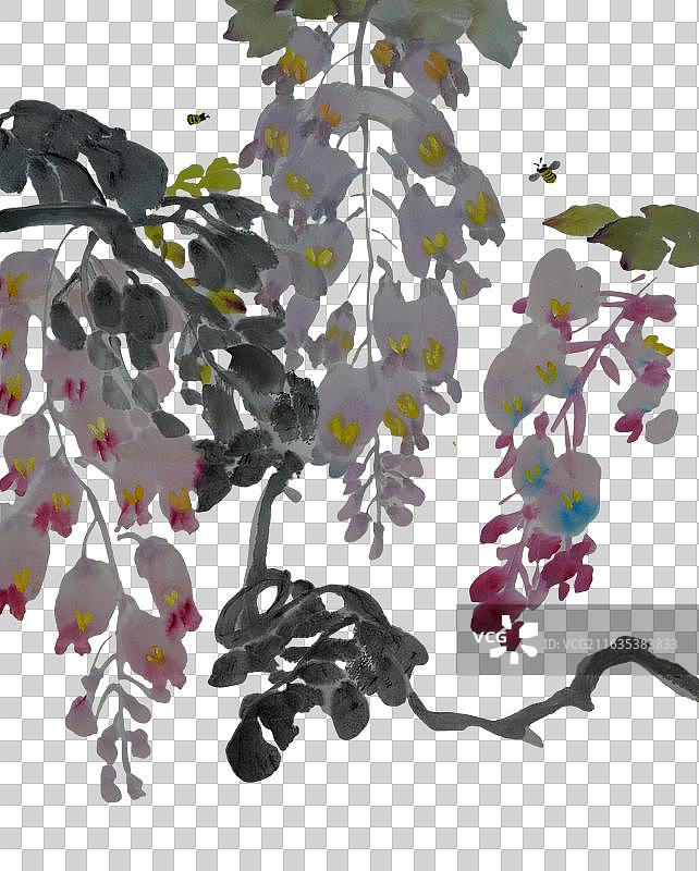 春天 谷雨 紫藤 花 元素 水墨 国画 元素 水墨画 插画图片素材