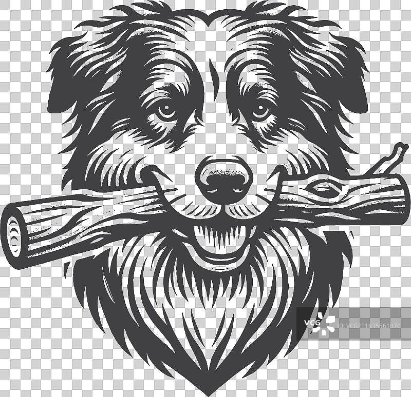 复古手绘澳大利亚牧羊犬图片素材