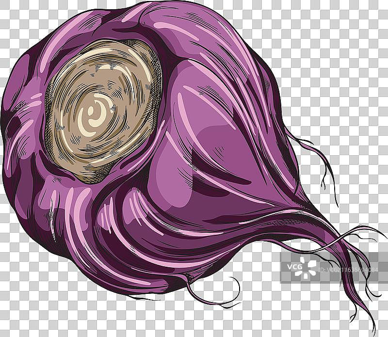 手绘水彩素描图片素材