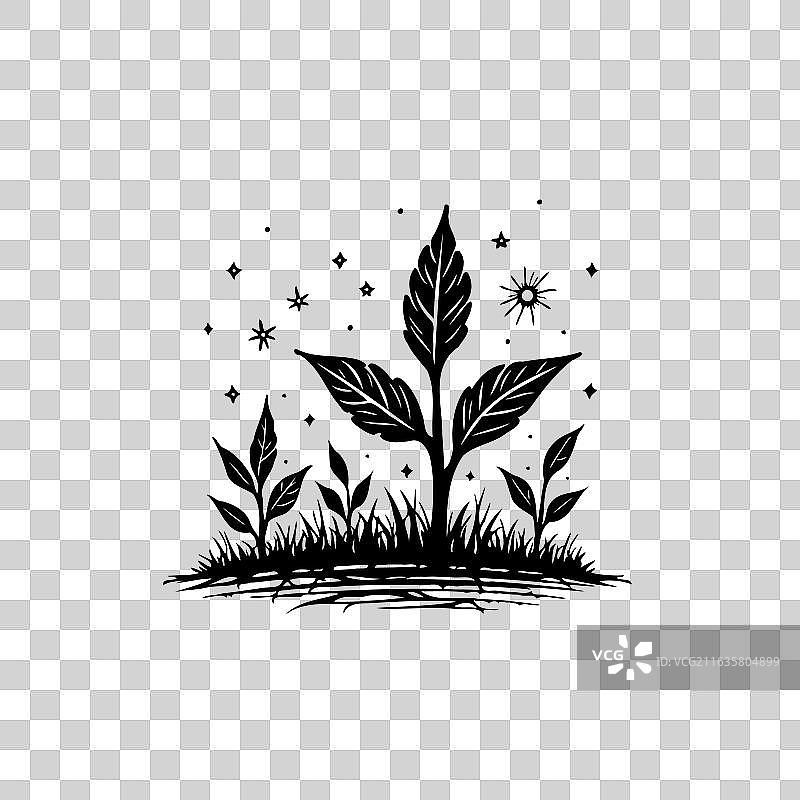植物在光线下生长的优雅剪影图片素材