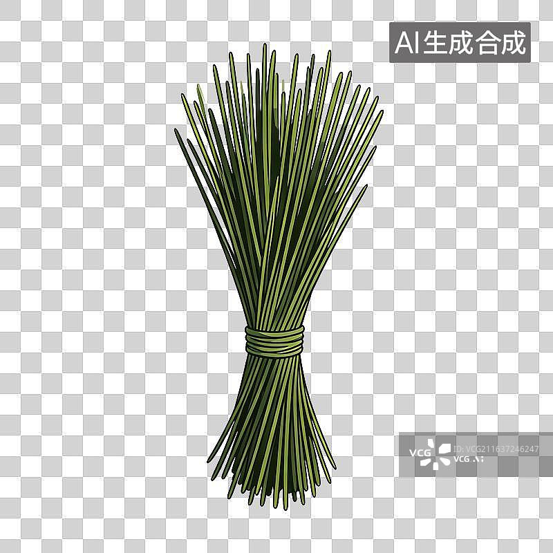 【AI数字艺术】一捆卡通风格的绿色香草图片素材