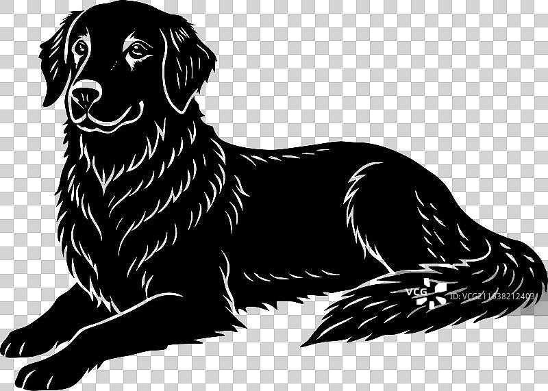 金毛寻回犬剪影图片素材