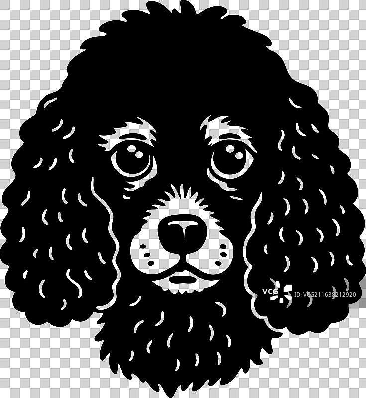 贵宾犬剪影图片素材