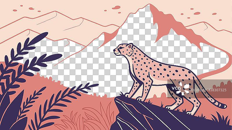 干旱山区岩石露头上的猎豹图片素材