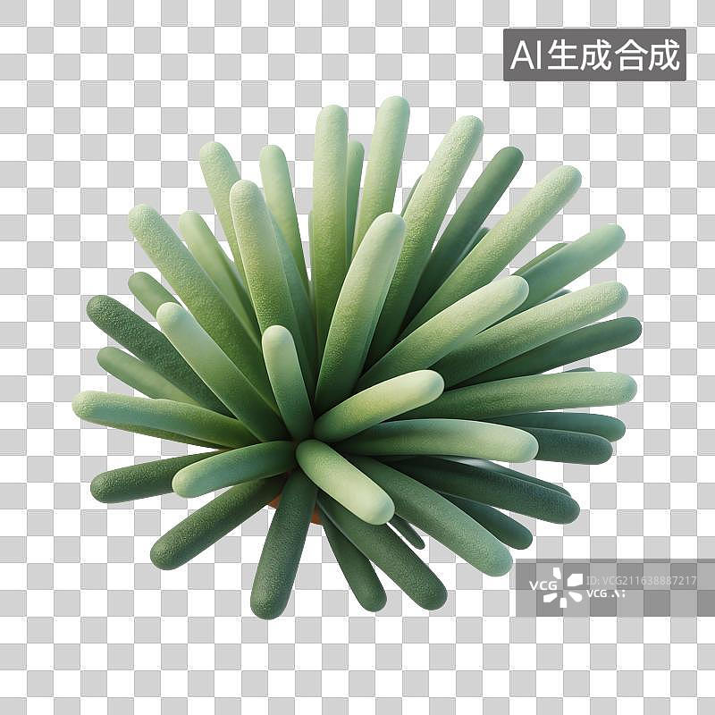 【AI数字艺术】松针枝叶插画图片素材