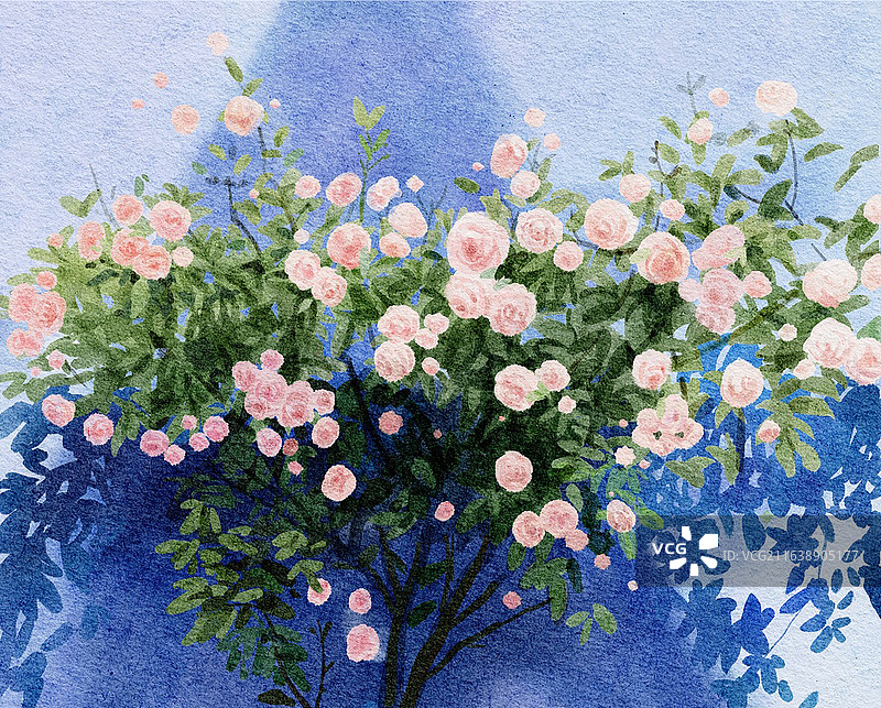 户外花丛花簇水彩风插画图片素材